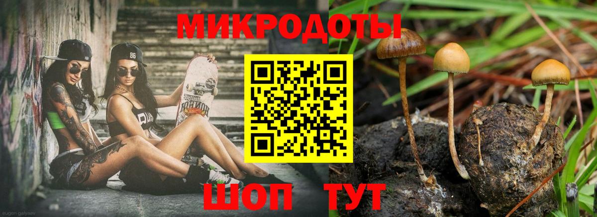 Псилоцибиновые грибы Psilocybine cubensis Ачинск